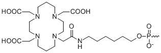 Bio-Synthesis Inc. Oligo Structure